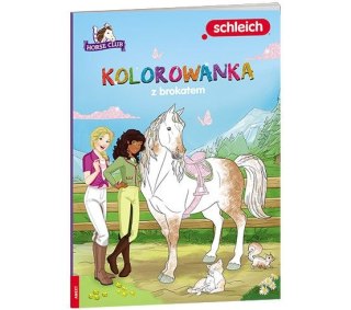 Książka dla dzieci Ameet Horse Club. Kolorowanka z brokatem (GCA 8401)