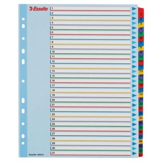 Przekładka numeryczna Esselte Mylar maxi A4 mix kolorów 160g 31k 1-31 (100210)