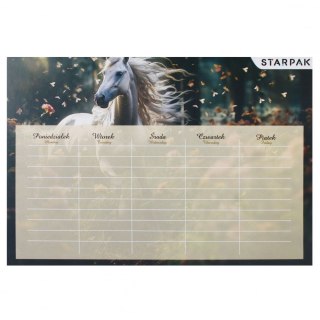 Plan lekcji Starpak Horse (536140)