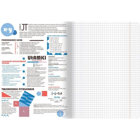 Zeszyt TOP-2000 matematyka A5 60k. 70g kratka (400169455)