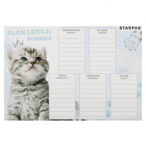 Plan lekcji Starpak Kot (536137)