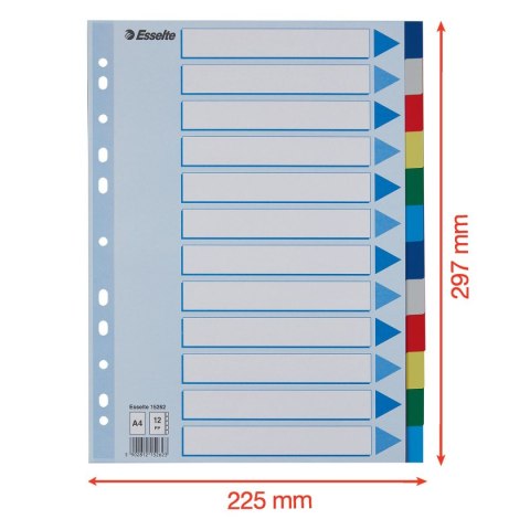 Przekładka czysta Esselte A4 mix 12k (15262)