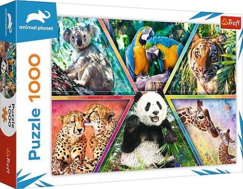 Puzzle Trefl 1000 el. (10672)