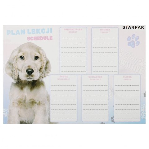 Plan lekcji Starpak Pies (536136)