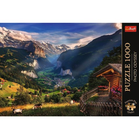 Puzzle Trefl Premium Plus 1000 el. (10821)