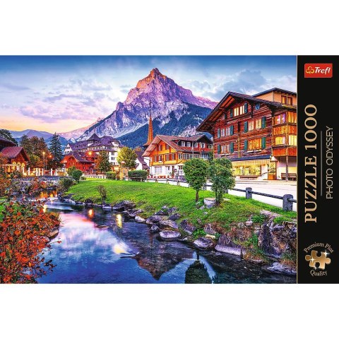 Puzzle Trefl Premium Plus Alpejskie miasteczko 1000 el. (10854)