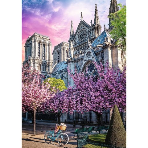 Puzzle Trefl Premium Plus Katedra Notre-Dame 1000 el. (10858)