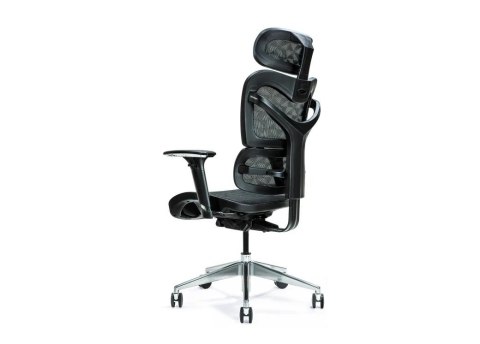 Ergonomiczny fotel biurowy ERGO 600 czarny