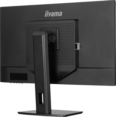 MONITOR IIYAMA LED 31,5"