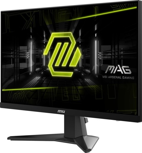 Monitor MSI MAG 256F