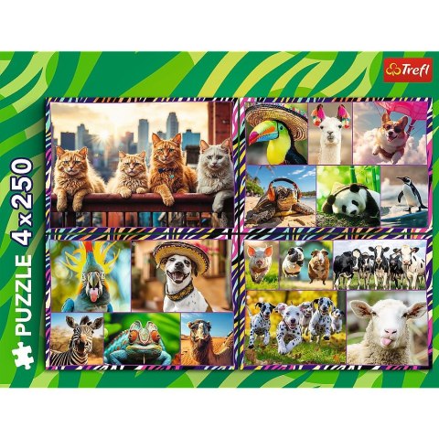 Puzzle Trefl zwierzaki 4x250 el. (13313)