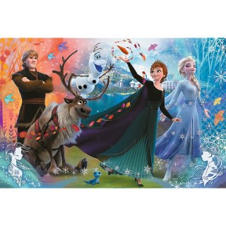 Puzzle Trefl Frozen XL Odkryj świat 160 el. (50022)