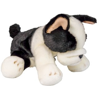 Pluszak Anek pies Boston terrier [mm:] 300 (844404BS)