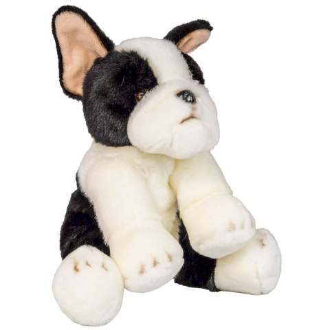 Pluszak Anek pies Boston terrier [mm:] 300 (844404BS)