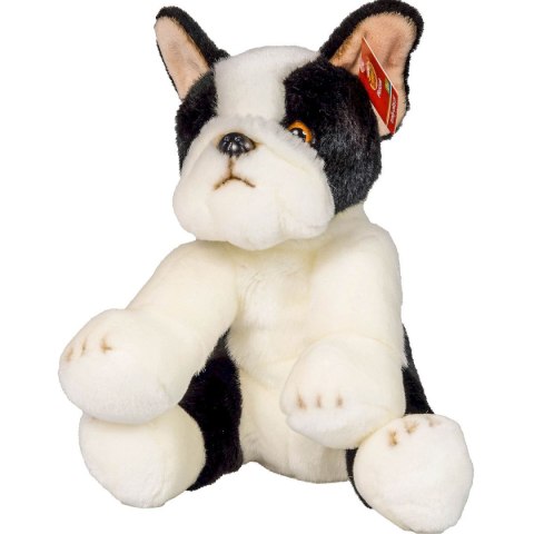 Pluszak Anek pies Boston terrier [mm:] 300 (844404BS)