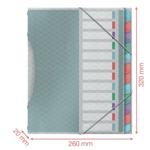 Teczka z przegródkami Esselte colour ice segregująca A4 kolor: niebieski 6 przegródek (626256)