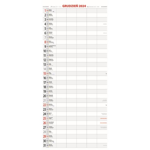 Kalendarz ścienny Avanti TERMINARZ wieloplanszowy paskowy 220mm x 490mm (KPD-6)