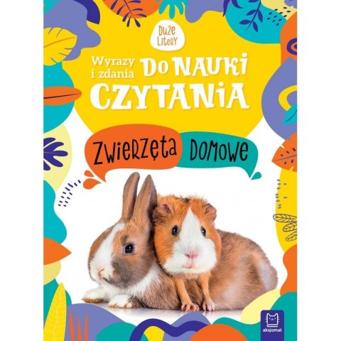 Książeczka edukacyjna Aksjomat Wyrazy i zdania do nauki czytania. Duże litery. Zwierzęta domowe