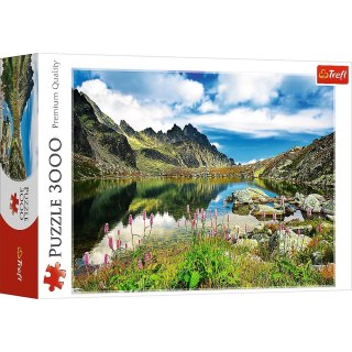 Puzzle Trefl STAROLEŚNIAŃSKI STAW 3000 el. (33031)