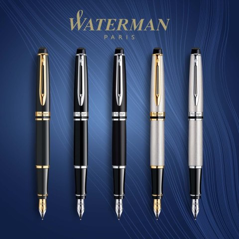 Ekskluzywne pióro wieczne Waterman EXPERT (S0951760)