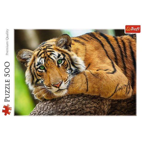 Puzzle Trefl Portret tygrysa 500 el. (37397)