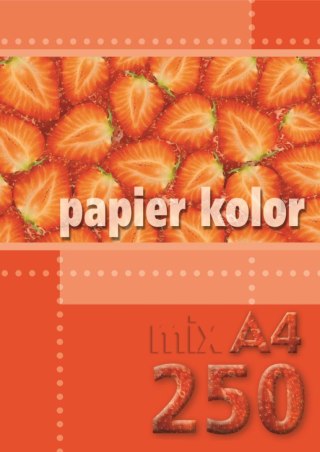 Papier kolorowy Kreska A4 mix 80g