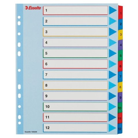 Przekładka numeryczna Esselte MYLAR A4 mix kolorów 160g 12k 1-12 (100209)