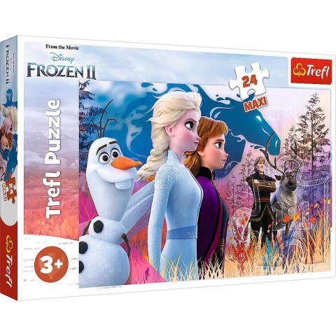 Puzzle Trefl Magiczna wyprawa 24 el. (14298)