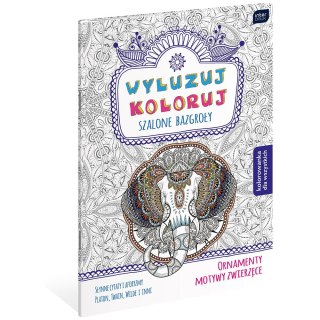 Kolorowanka Interdruk Wyluzuj Koloruj Szalone bazgroły (MAB5WYL)