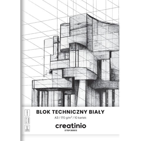 Blok techniczny Top 2000 A3 10k