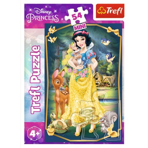 Puzzle Trefl Piękne Księżniczki 54 el. (54191)