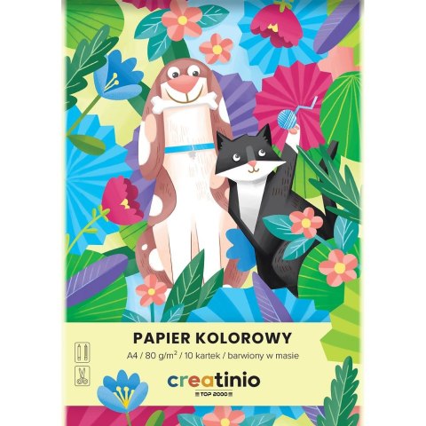 Papier kolorowy Top 2000 Creatinio A4 mix 80g (400176684)