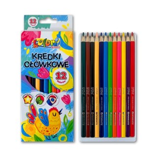 Kredki ołówkowe Penmate Kolori PREMIUM (TT7596)