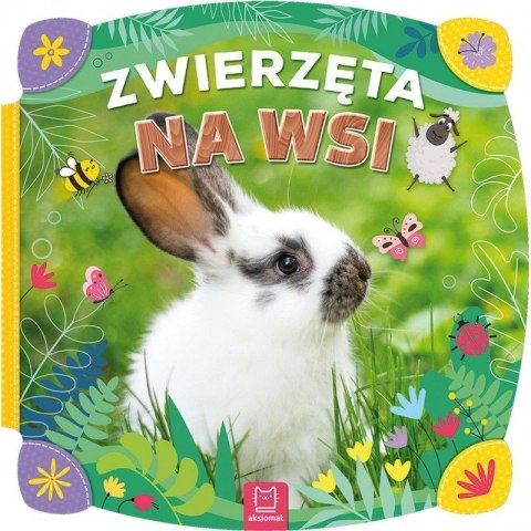 Książeczka edukacyjna Aksjomat Zwierzęta na wsi