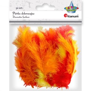 Piórka Titanum Craft-Fun Series mix 50 szt (210039)