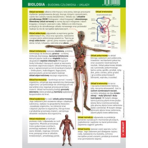 Książeczka edukacyjna Demart Ściągawka - Biologia - człowiek (układy)