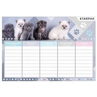 Plan lekcji Starpak Cuties (409085)