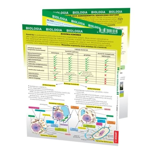 Książeczka edukacyjna Demart maxi ściąga Biologia